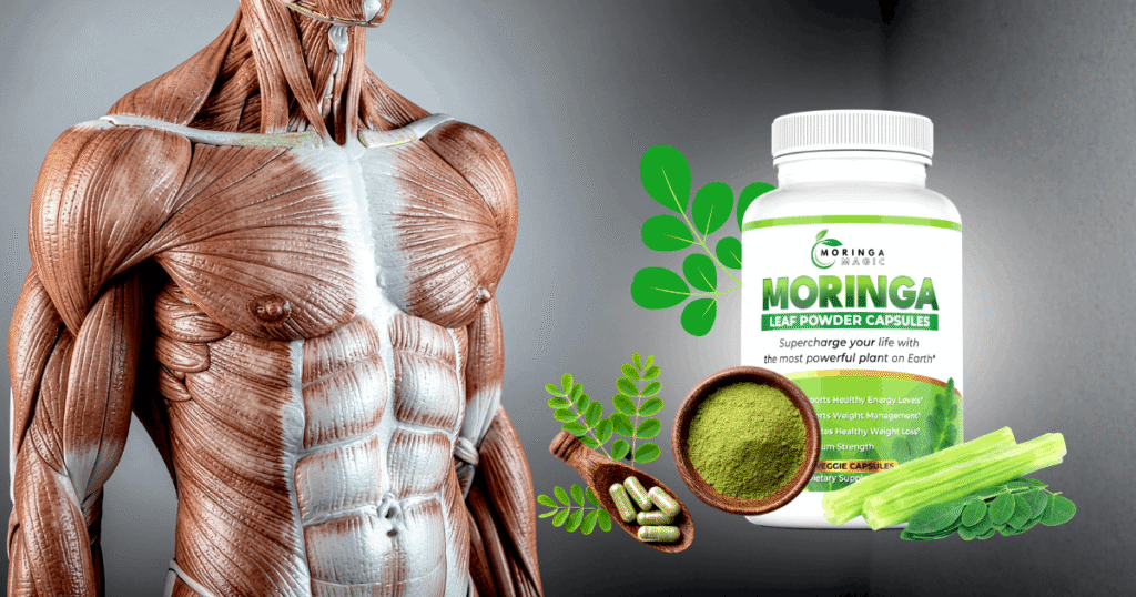 Moringa Magic Benefits 7 Powerful Reasons People Are Switching to It