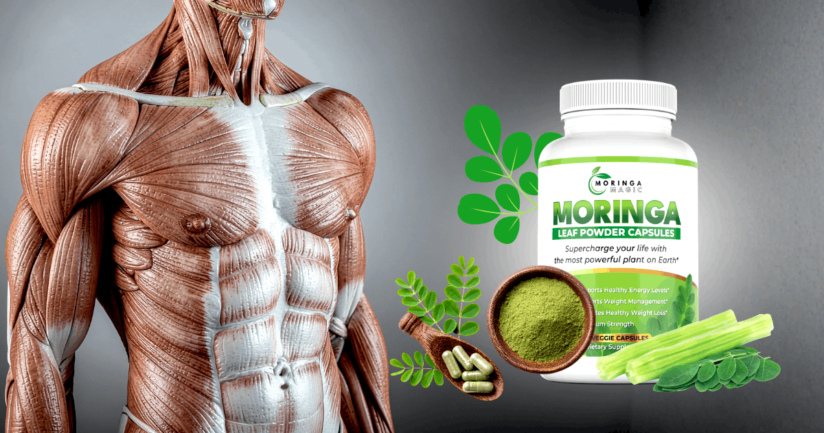Moringa Magic Benefits 7 Powerful Reasons People Are Switching to It