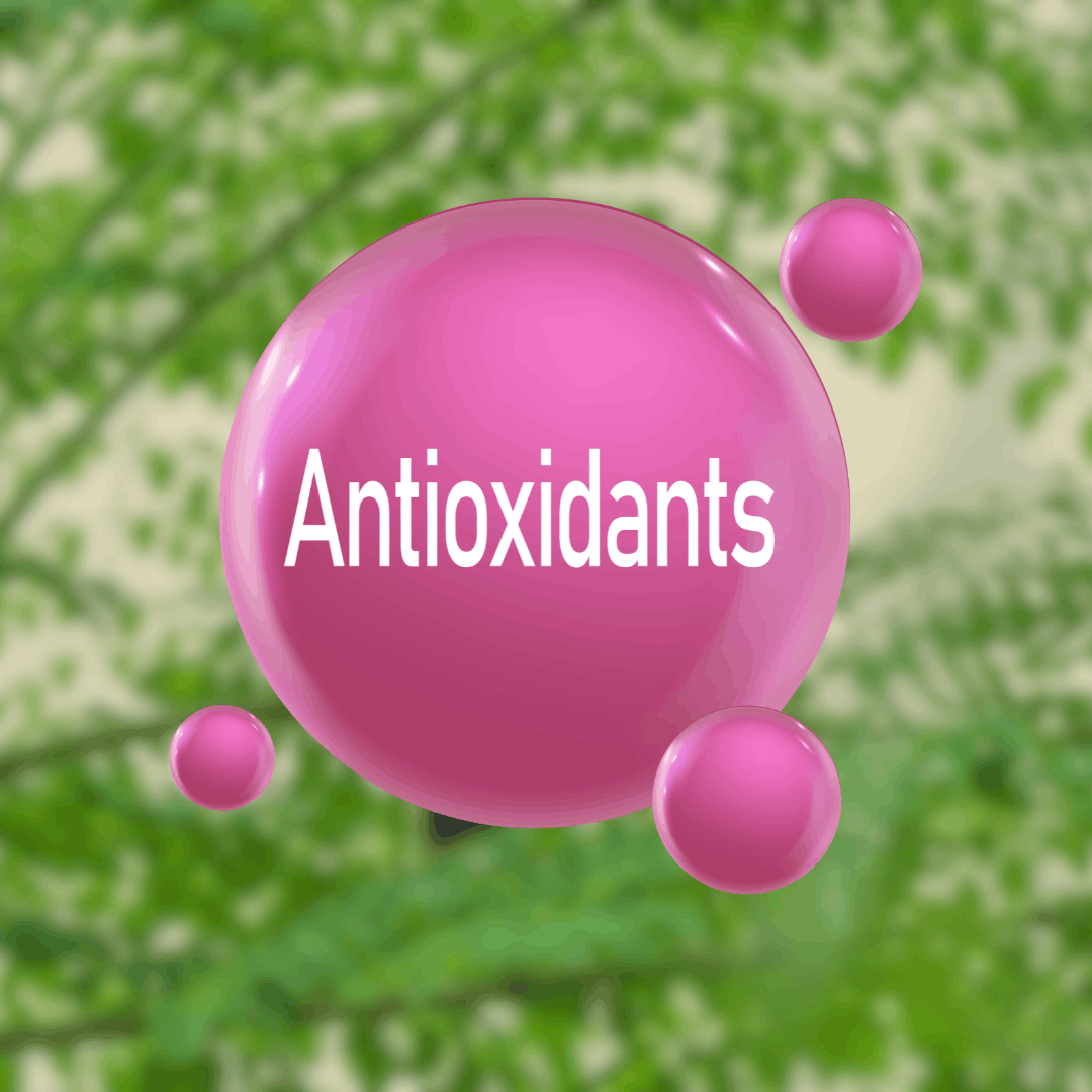 Rich in Powerful Antioxidants (1)